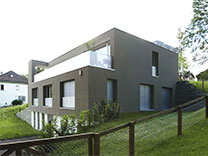 EFH DUFOURSTRASSE
